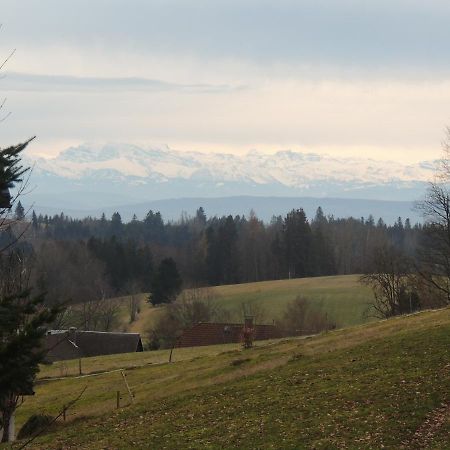Dachsberg im SchwarzwaldHaus Ingeborgアパートメント エクステリア 写真