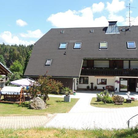Dachsberg im SchwarzwaldHaus Ingeborgアパートメント エクステリア 写真