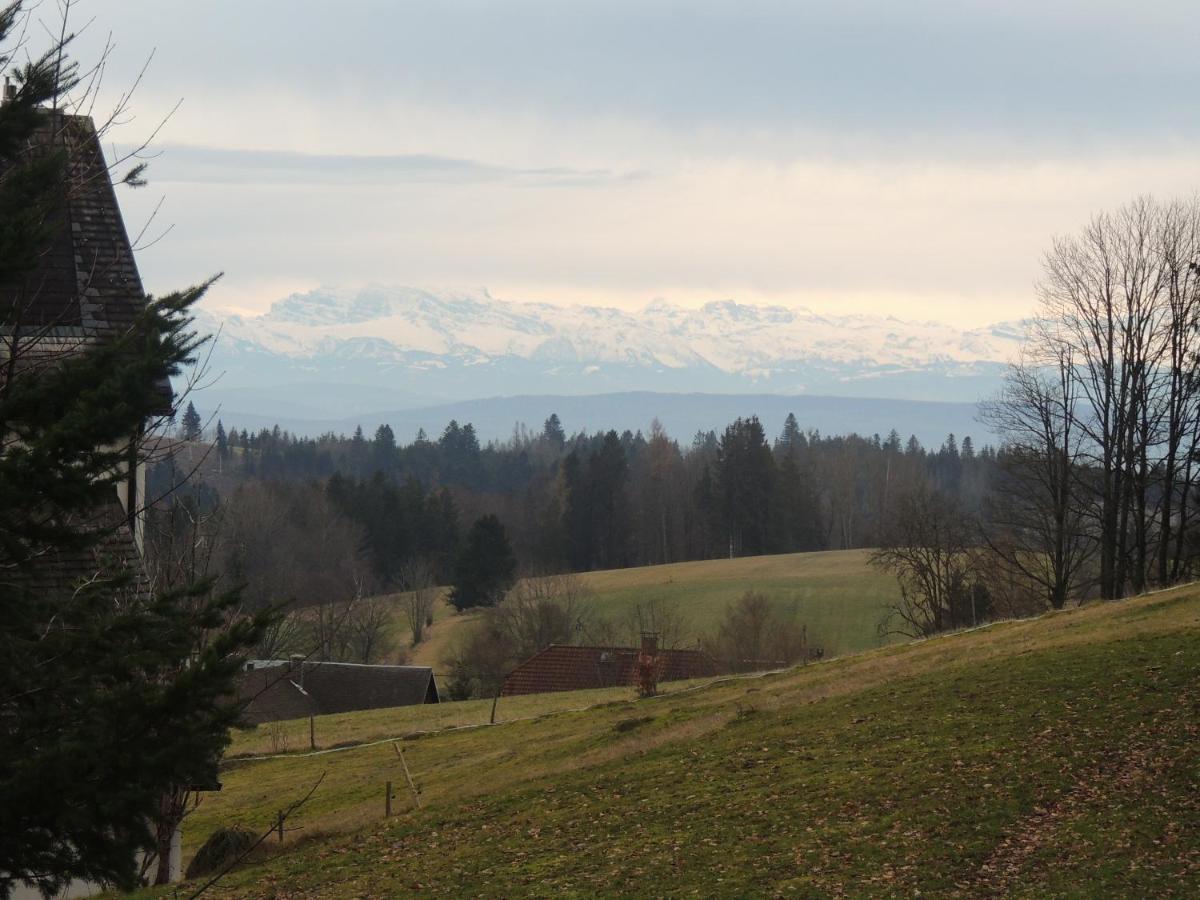 Dachsberg im SchwarzwaldHaus Ingeborgアパートメント エクステリア 写真