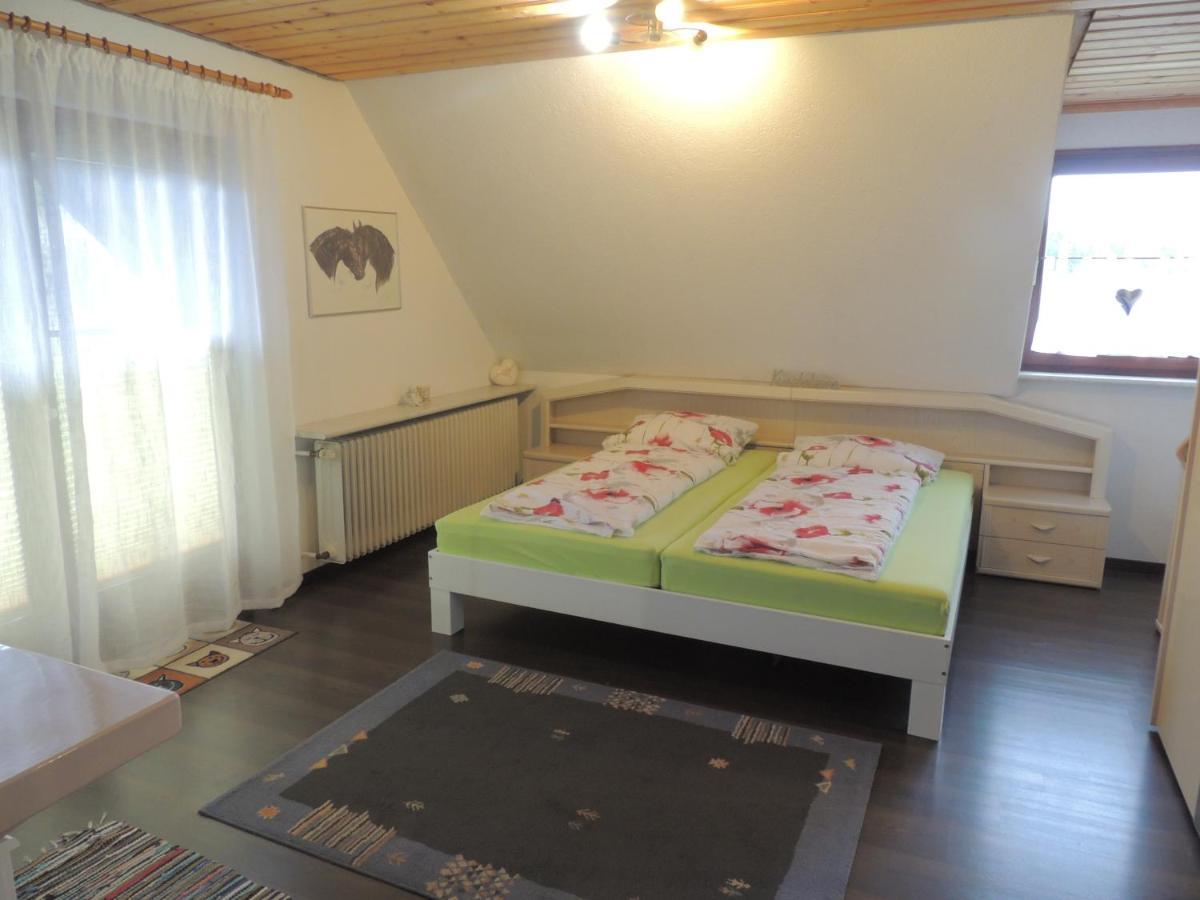 Dachsberg im SchwarzwaldHaus Ingeborgアパートメント エクステリア 写真