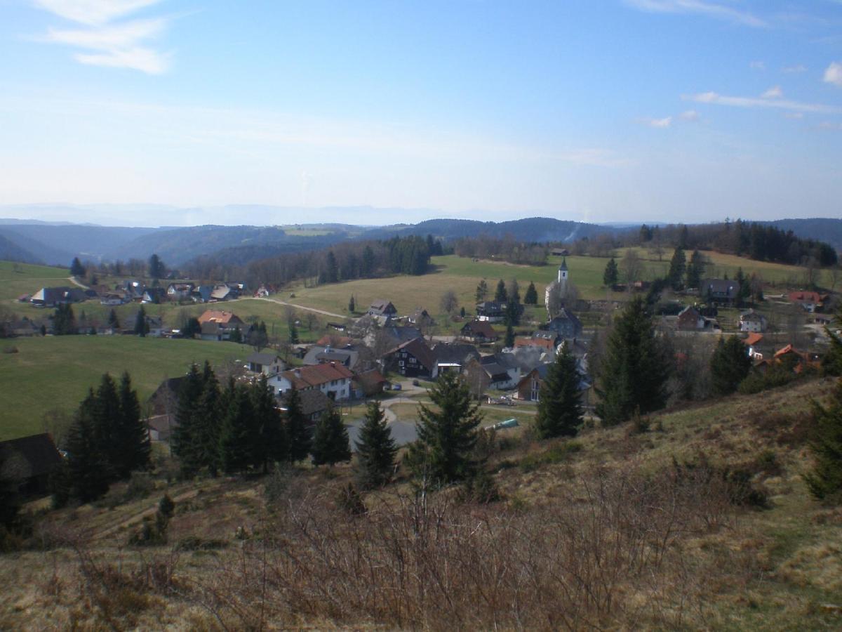 Dachsberg im SchwarzwaldHaus Ingeborgアパートメント エクステリア 写真