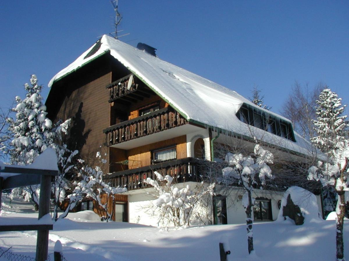 Dachsberg im SchwarzwaldHaus Ingeborgアパートメント エクステリア 写真