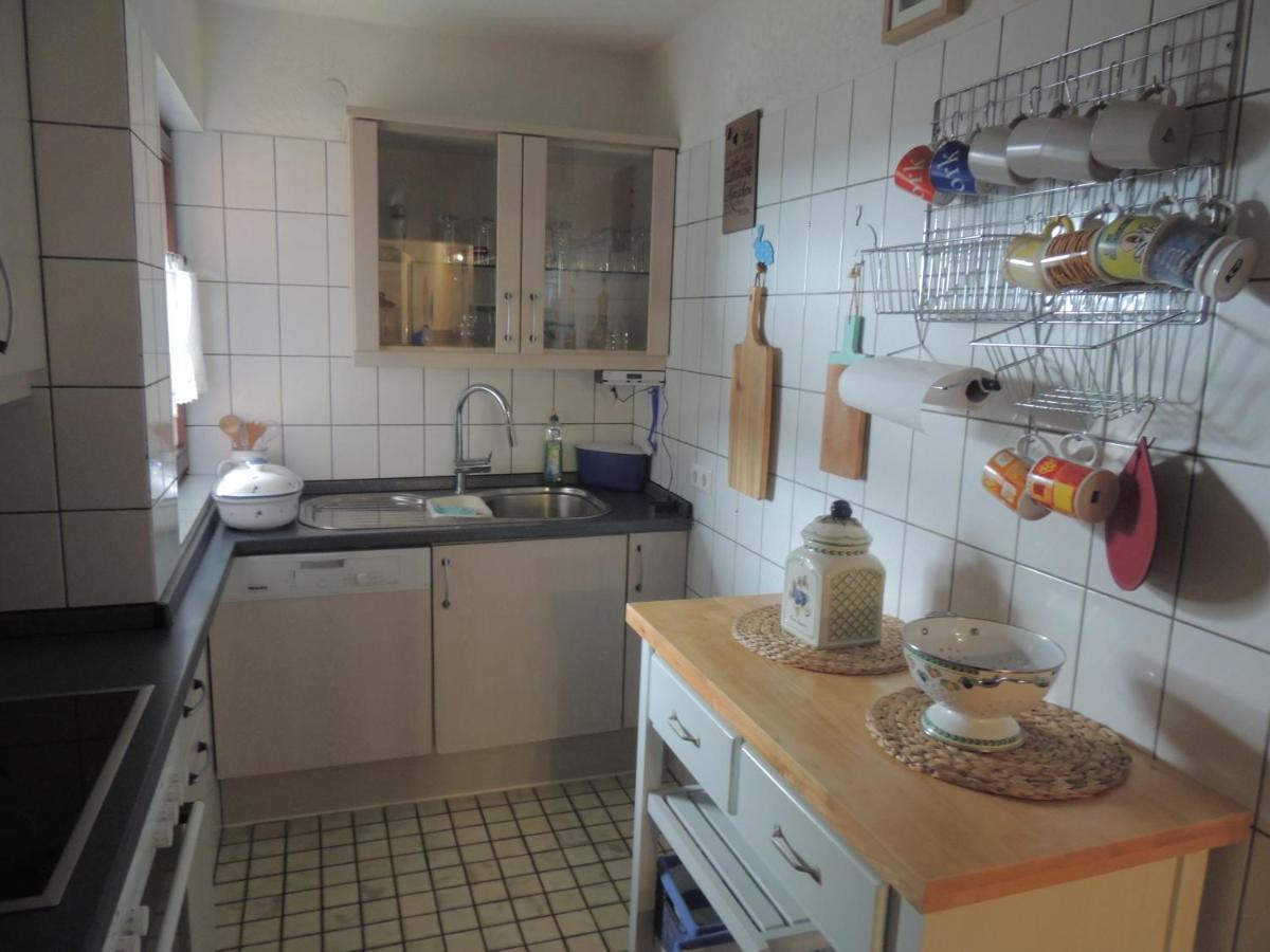 Dachsberg im SchwarzwaldHaus Ingeborgアパートメント エクステリア 写真