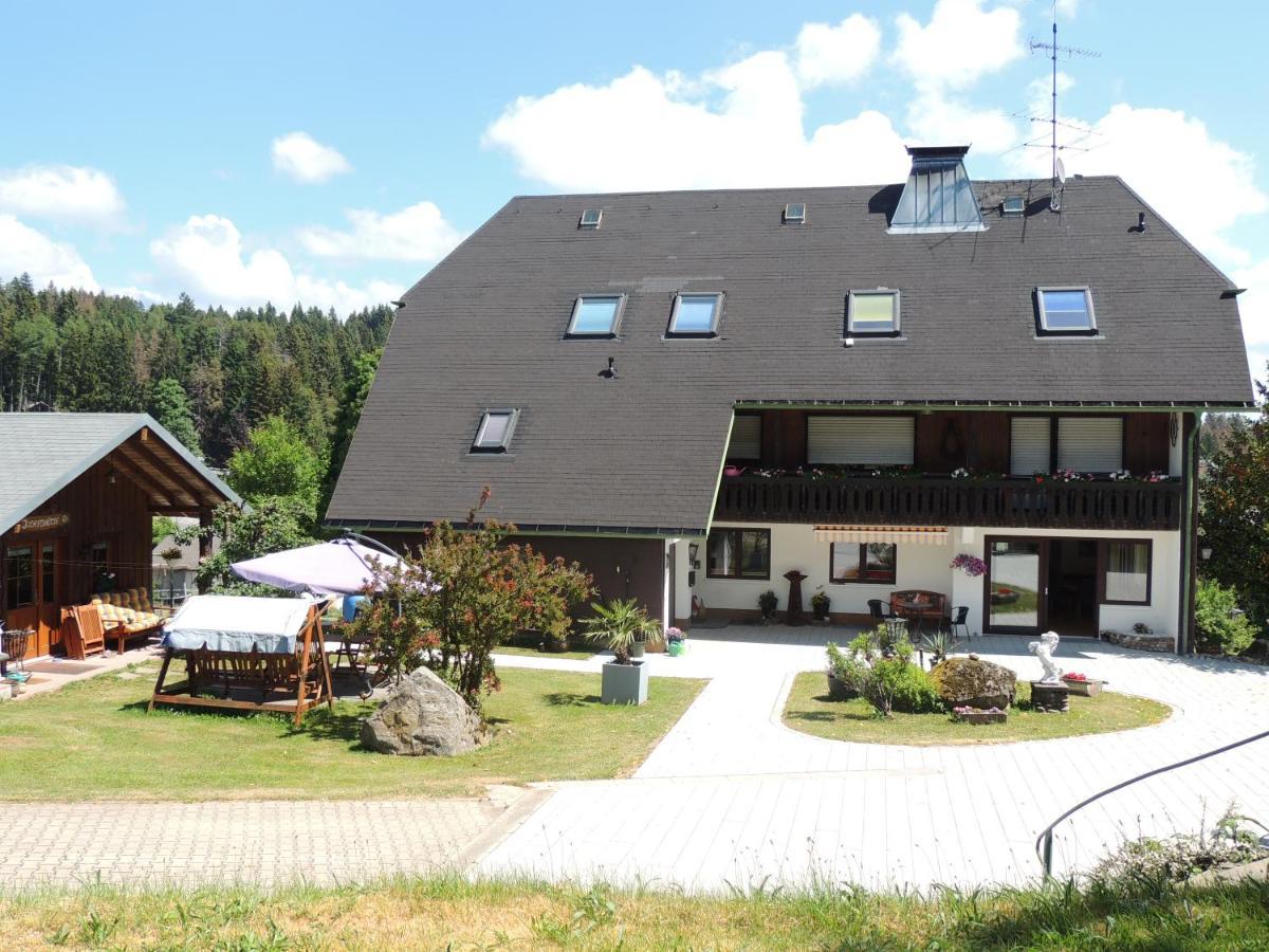 Dachsberg im SchwarzwaldHaus Ingeborgアパートメント エクステリア 写真
