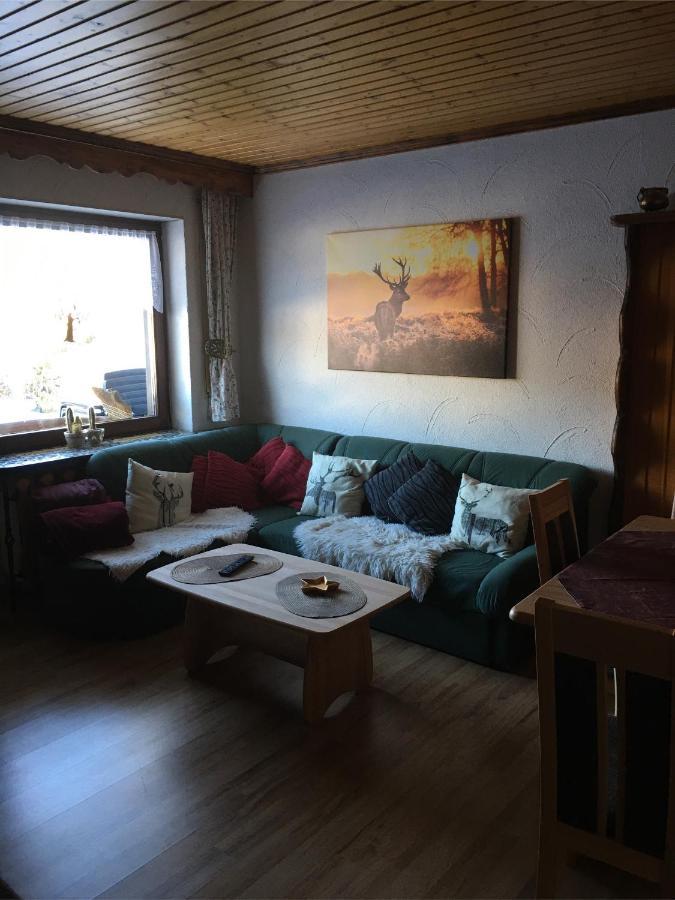 Dachsberg im SchwarzwaldHaus Ingeborgアパートメント エクステリア 写真