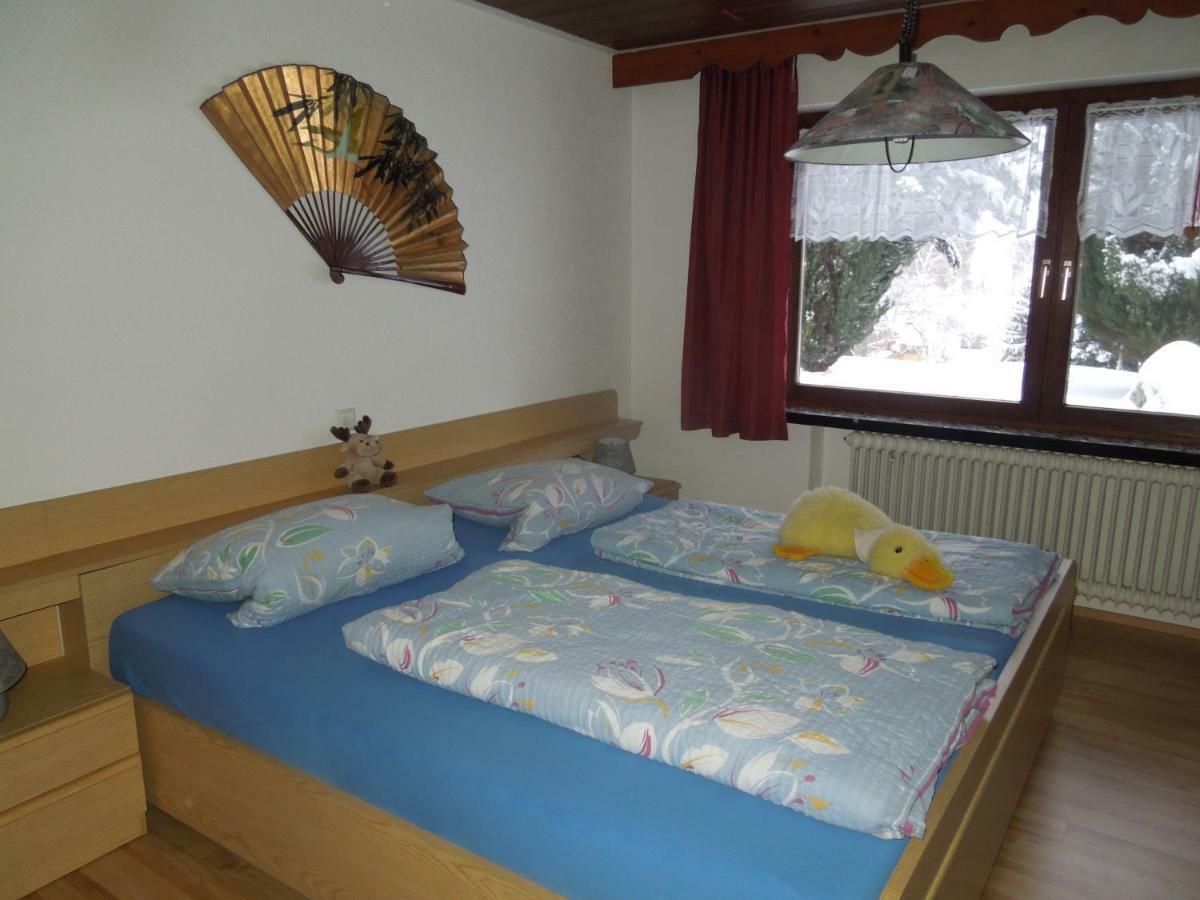 Dachsberg im SchwarzwaldHaus Ingeborgアパートメント エクステリア 写真