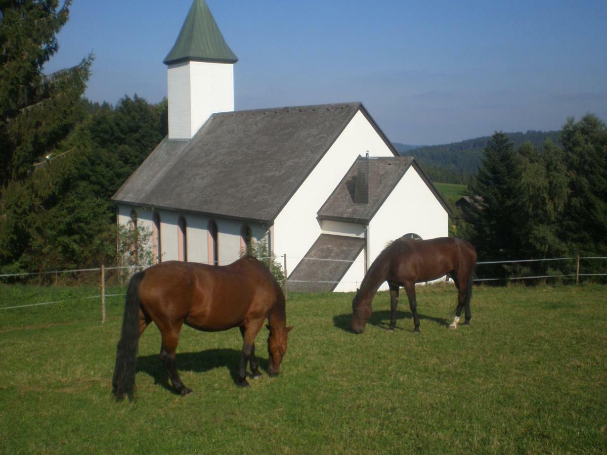 Dachsberg im SchwarzwaldHaus Ingeborgアパートメント エクステリア 写真