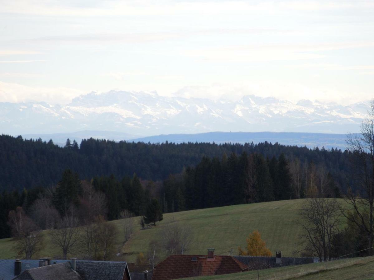 Dachsberg im SchwarzwaldHaus Ingeborgアパートメント エクステリア 写真