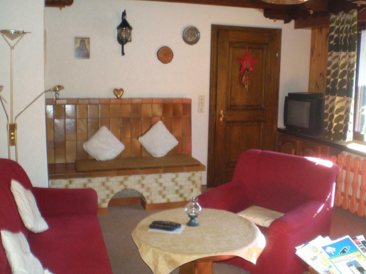 Dachsberg im SchwarzwaldHaus Ingeborgアパートメント エクステリア 写真