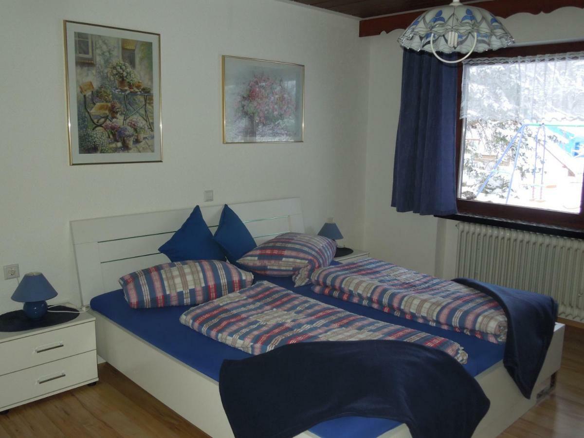 Dachsberg im SchwarzwaldHaus Ingeborgアパートメント エクステリア 写真