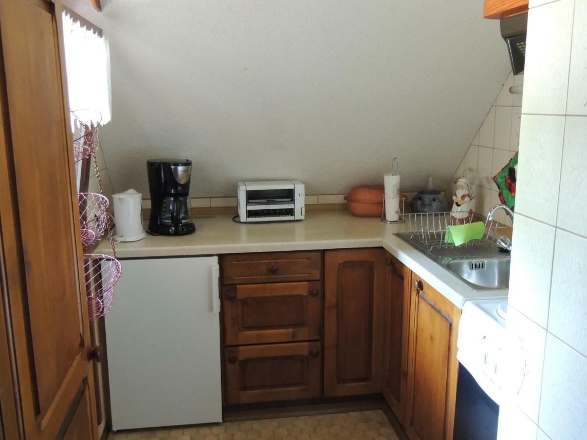 Dachsberg im SchwarzwaldHaus Ingeborgアパートメント エクステリア 写真